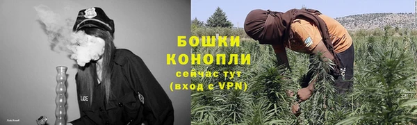 индика Няндома