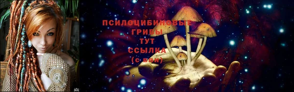 гашик Нягань