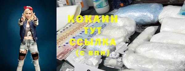 индика Няндома