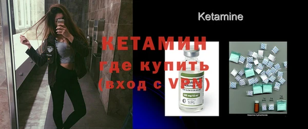 индика Няндома