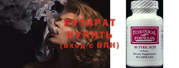 индика Няндома