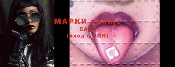 индика Няндома