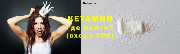 индика Няндома