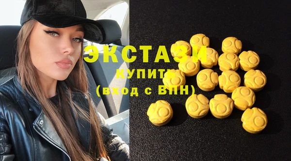 индика Няндома