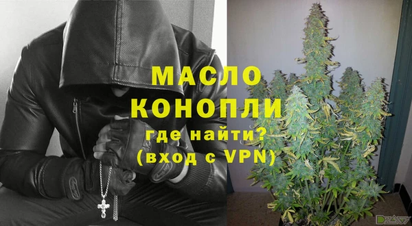 индика Няндома