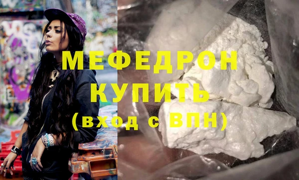 индика Няндома