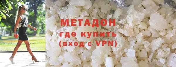 индика Няндома