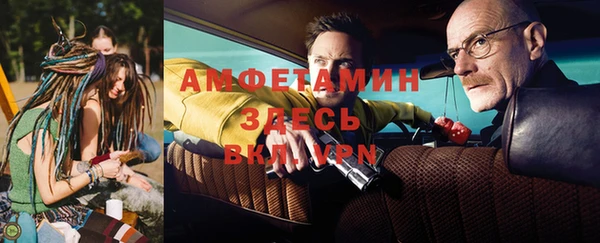 индика Няндома