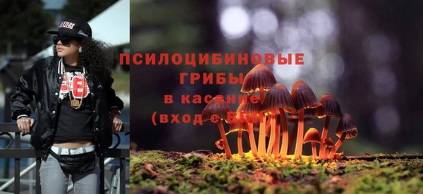 гашик Нягань