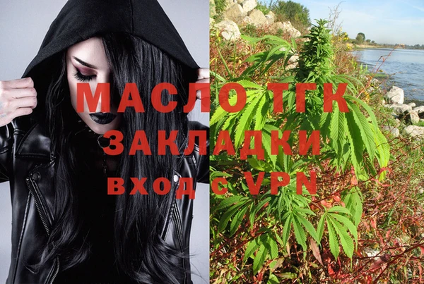 индика Няндома