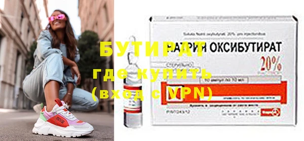 индика Няндома