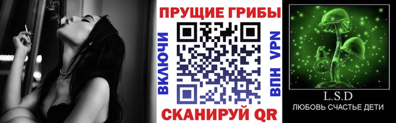 Псилоцибиновые грибы GOLDEN TEACHER  купить   Чкаловск 